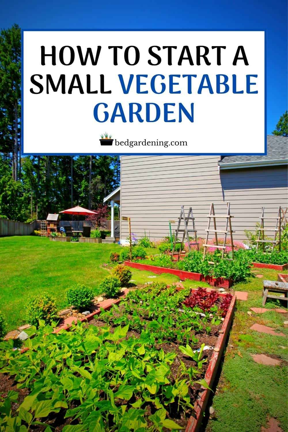 HOW TO START A SMALL VEGETABLE GARDEN Bed Gardening