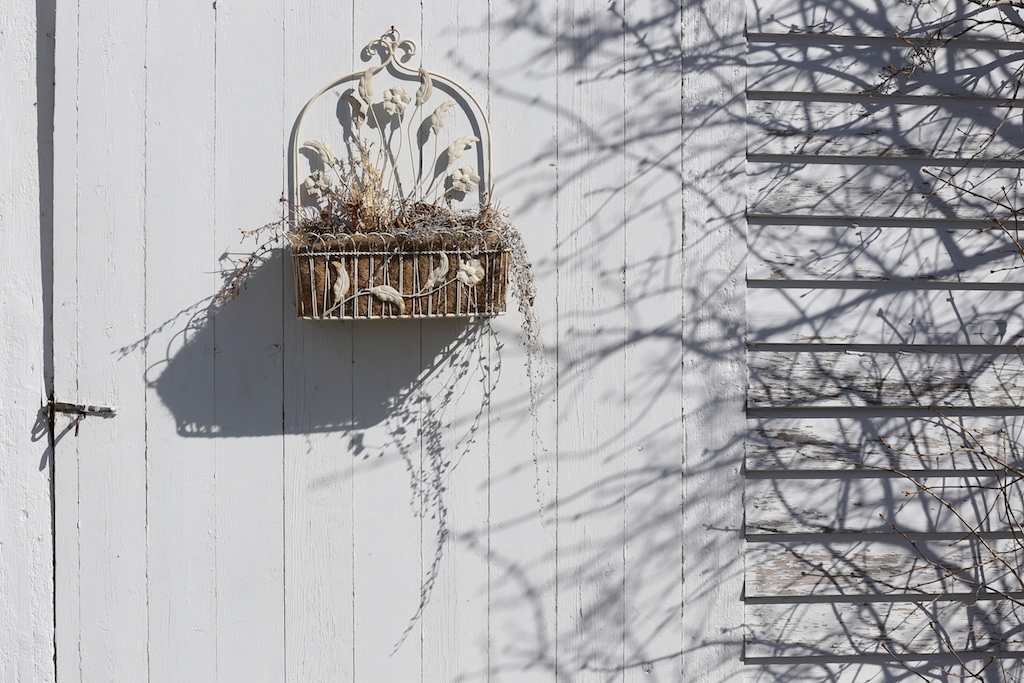 Spring Shadows Christmas Lights Spring Shadows Taking Anger Seriously? Bedlam Farm