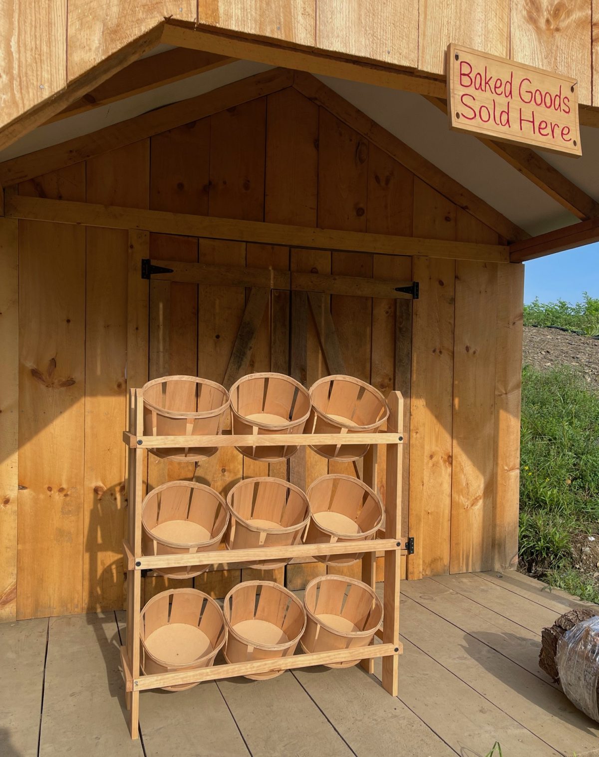 Surprise! The Story Of An Amish Family, A Wily Friend, God, And A Nine