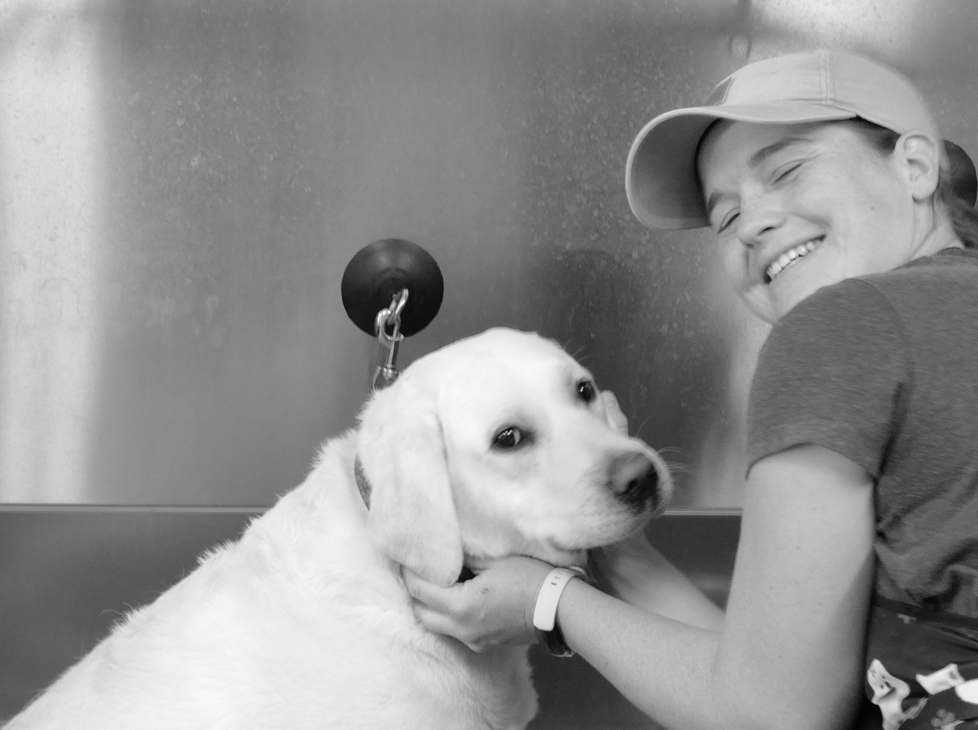 I Found The Dog Groomer Of My Dreams. Her Name Is Kiley, She Is Just Great. Zinnia Is Glowing