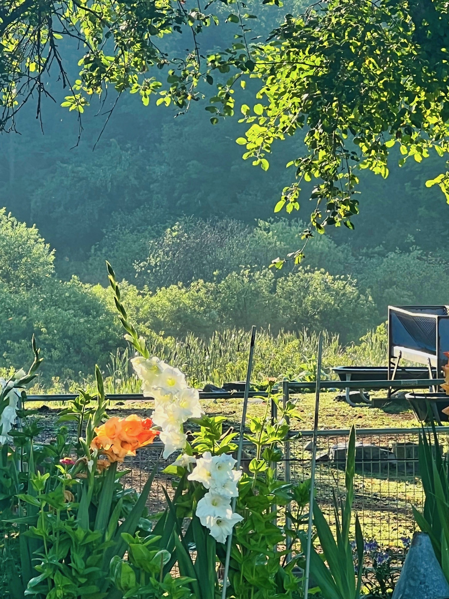 Spiritual Sunday Why Do I Wear The Cross? Following My Own Idea Of