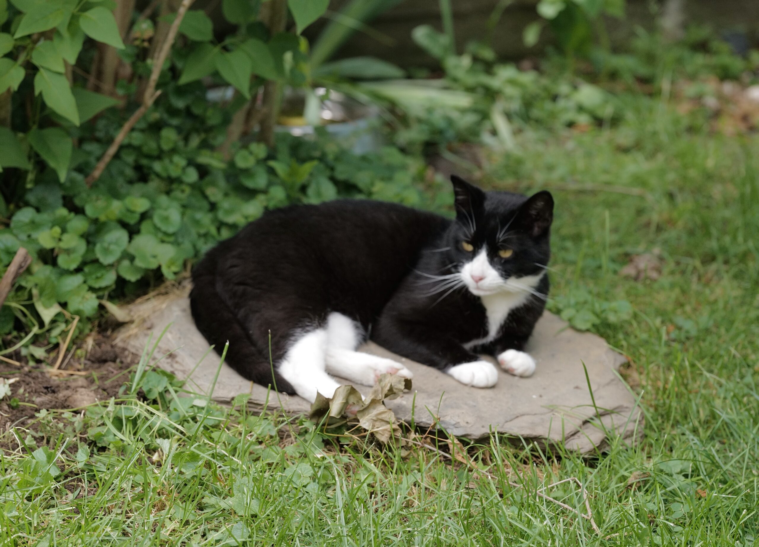 What About Love? Does Anyone Know What It Really Means? I Know Now What