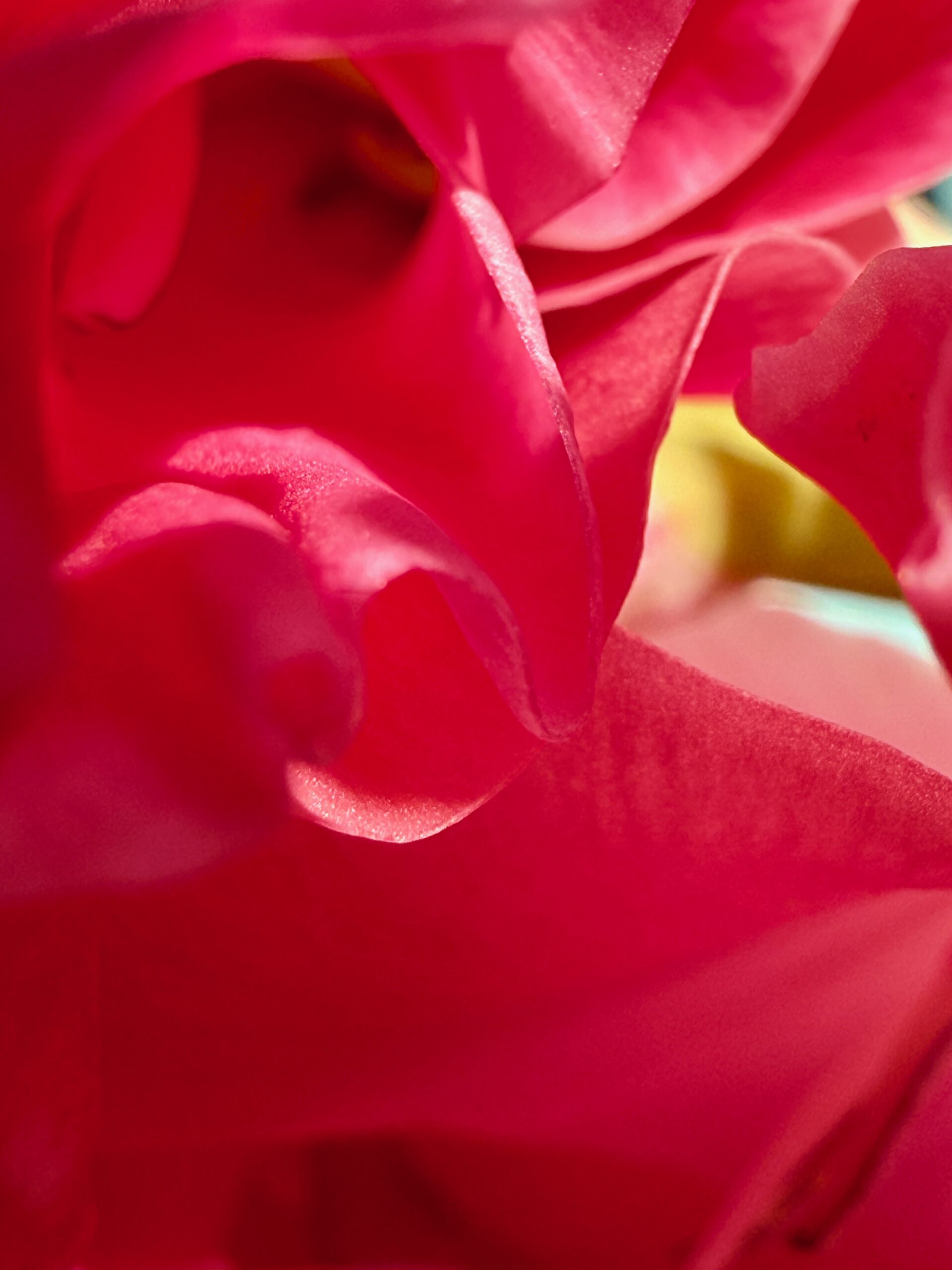 A New iPhone 16 Pro Max Flower Art Tool I Went Deeper, Softer, With It