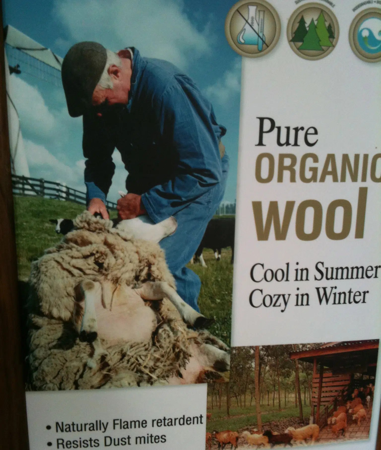 Organic Mattress Guide What you Need to Know BEDUTOPIA