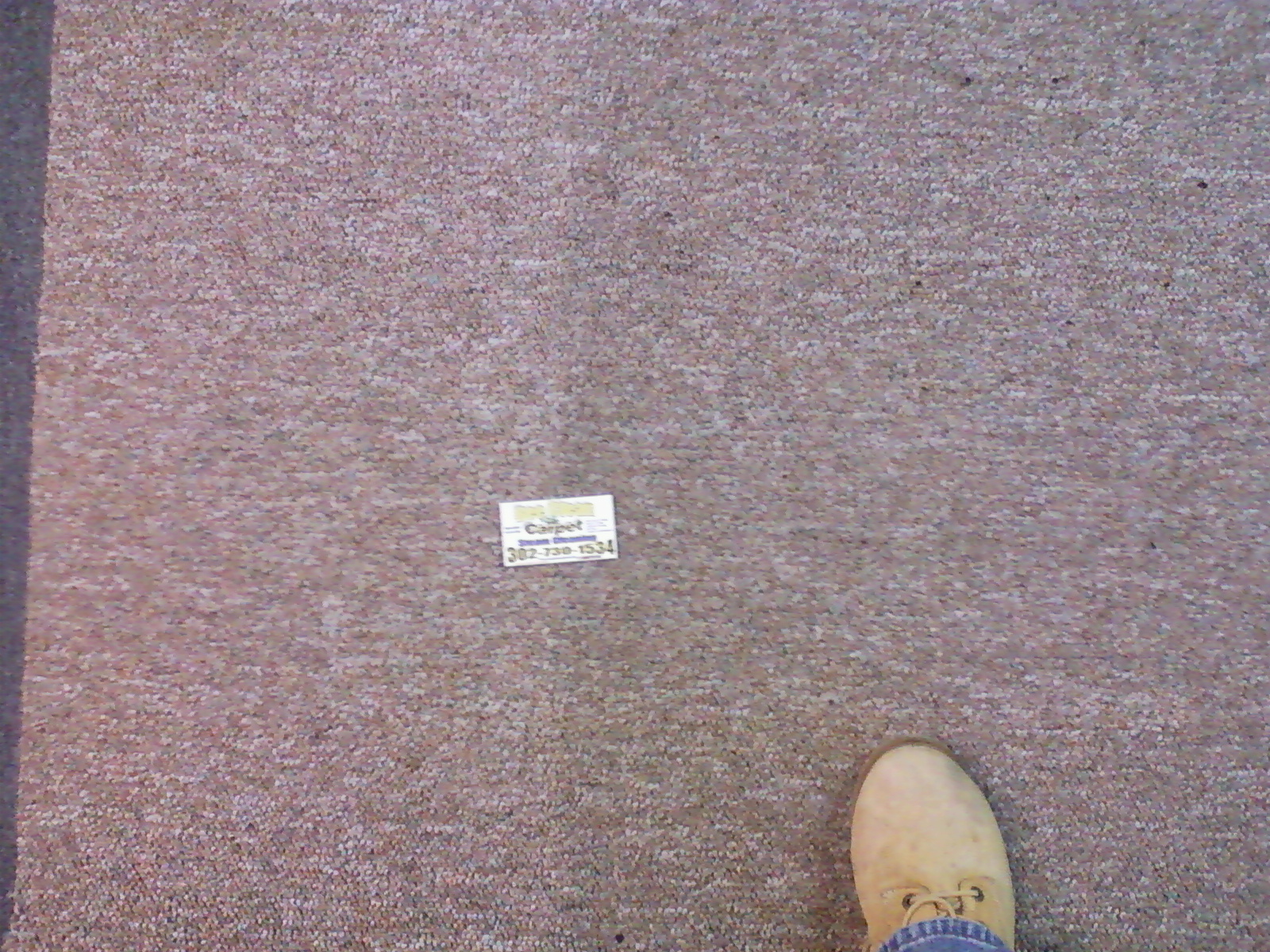 Carpet cleaning services dover delaware