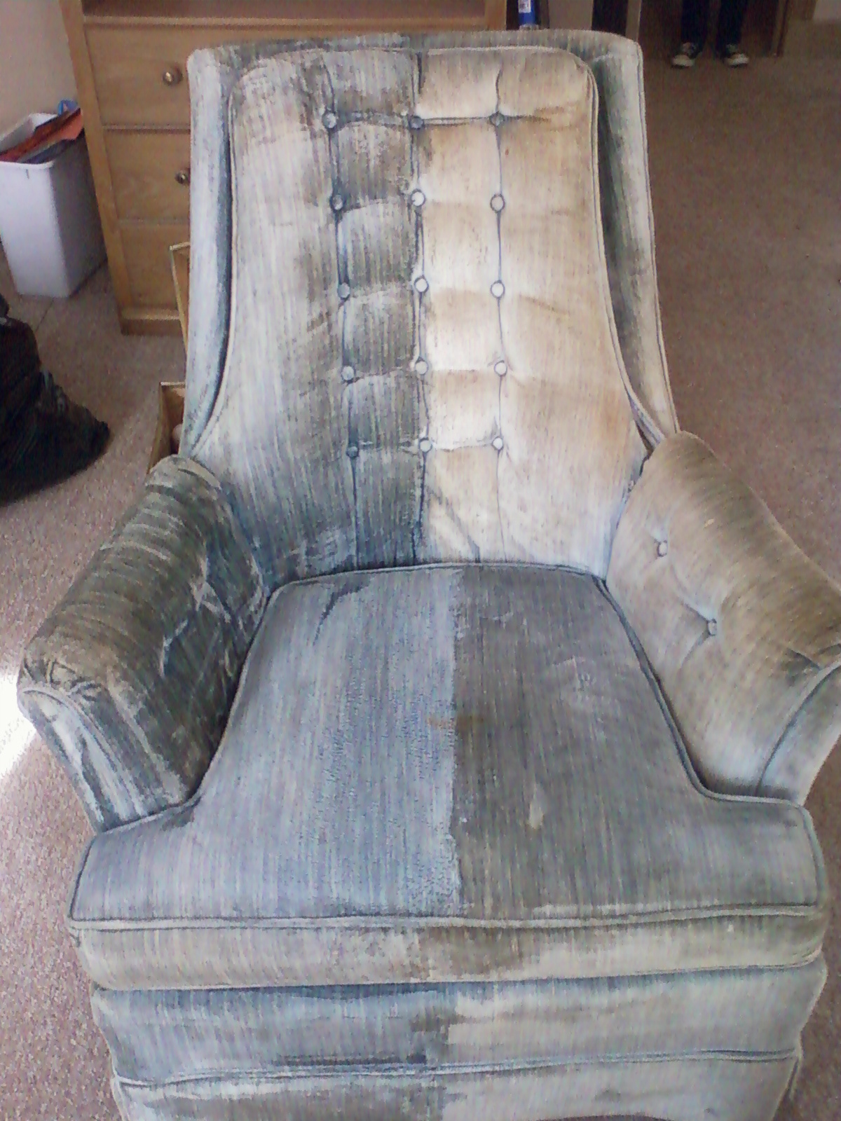 Carpet cleaning services dover delaware