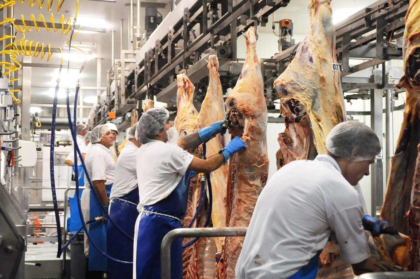 Weekly kill Supply & demand find some equilibrium, at higher prices