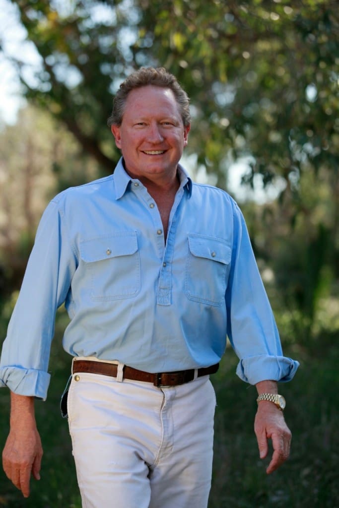 Mining billionaire Twiggy Forrest buys Harvey Beef Beef Central