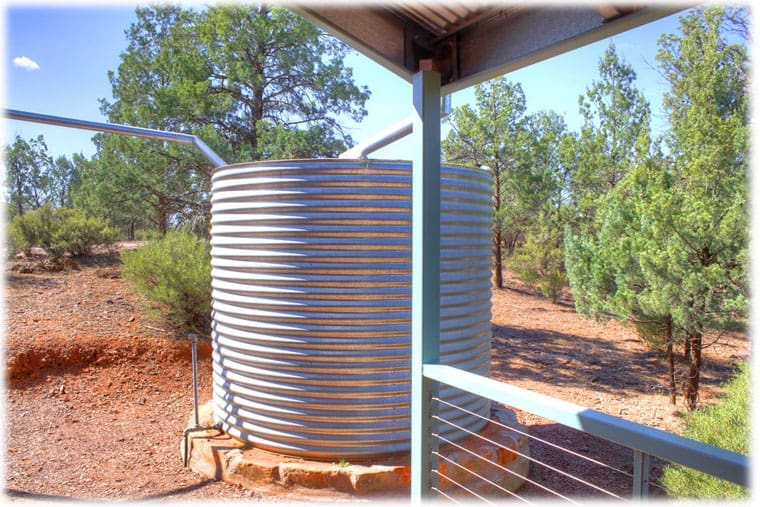 Ensuring the health of your rainwater tank Top five tips + VIDEO