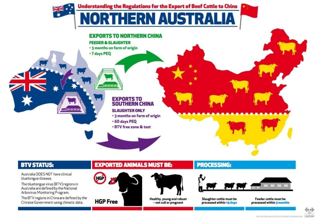 What the China livex protocol means for northern, southern producers Beef Central