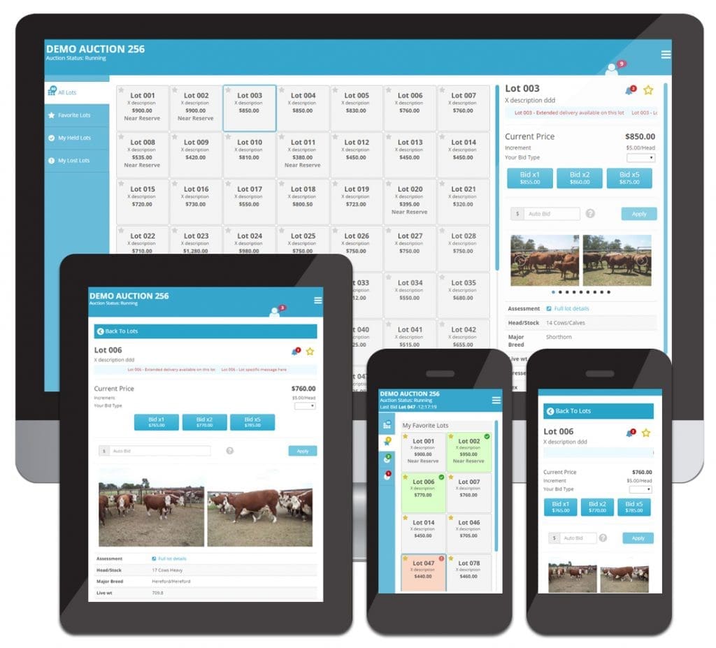 Online bidding at physical auctions a growing trend in 2016? Beef