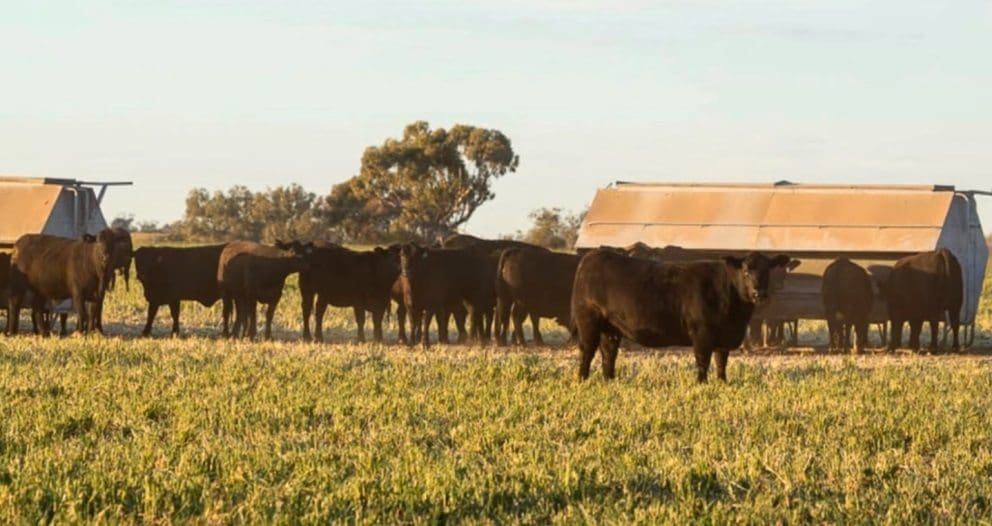 Are definitions/raising claims coming for ‘Grain Assisted’ and