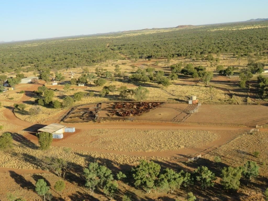 Central Australia’s Coniston Station makes above 12.5m after auction