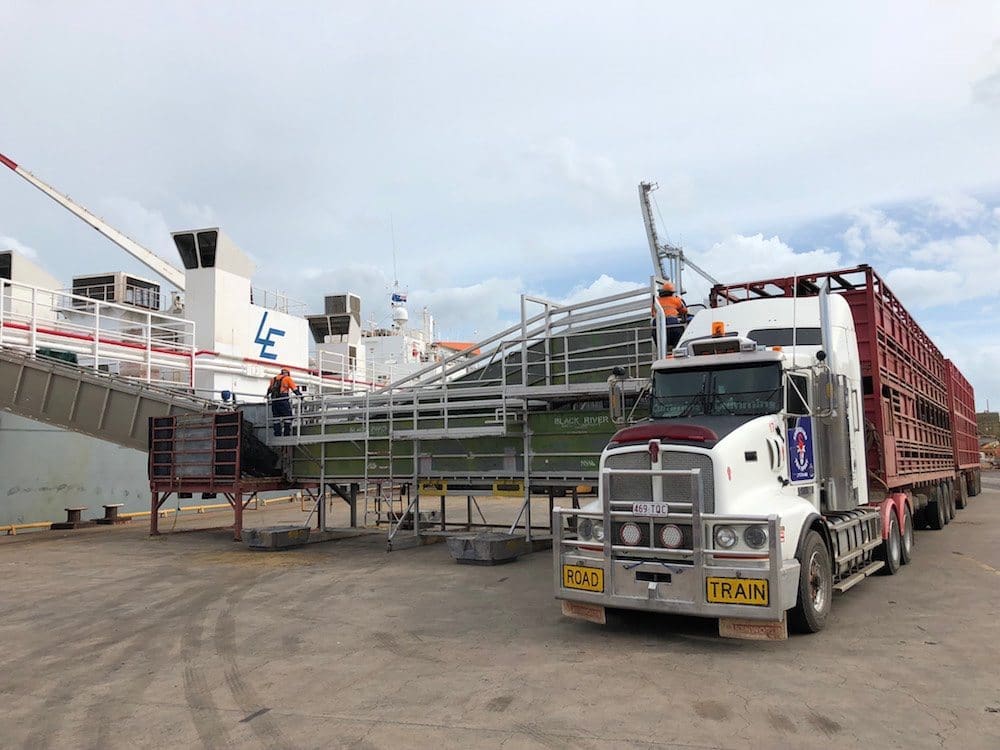 March cattle exports slip to 55,073 head Beef Central