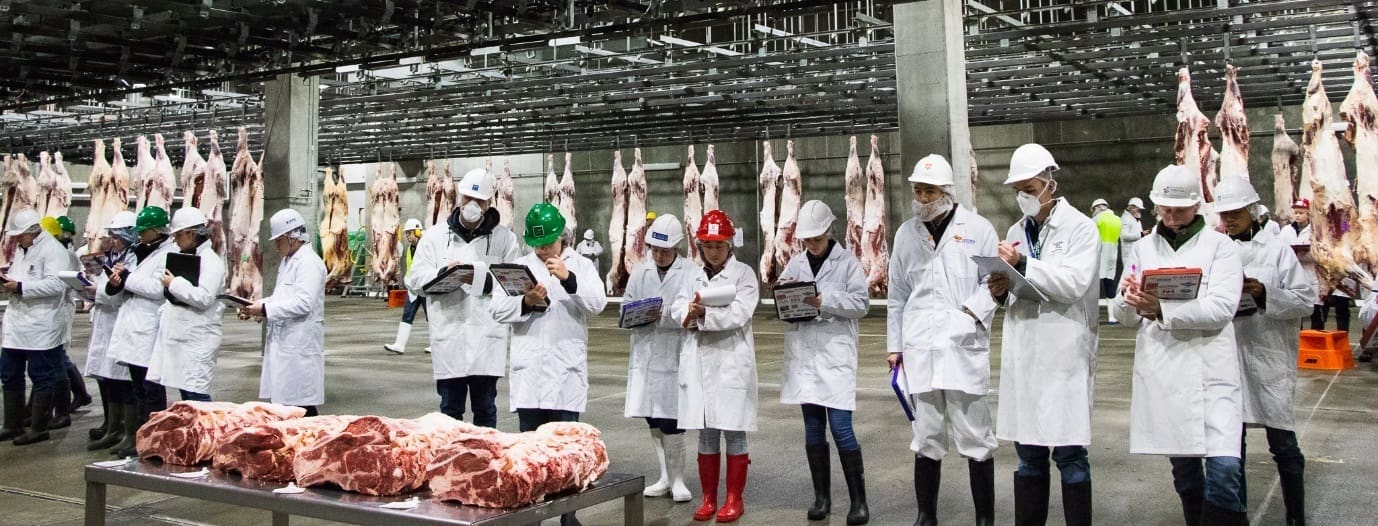 180 students involved in Australian Intercollegiate Meat Judging