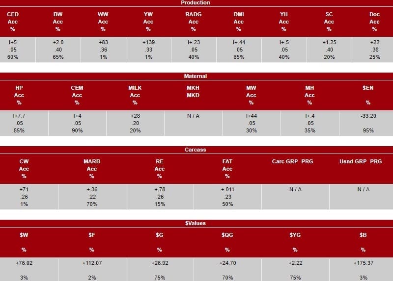 World record A2.1m paid for US Angus bull Beef Central