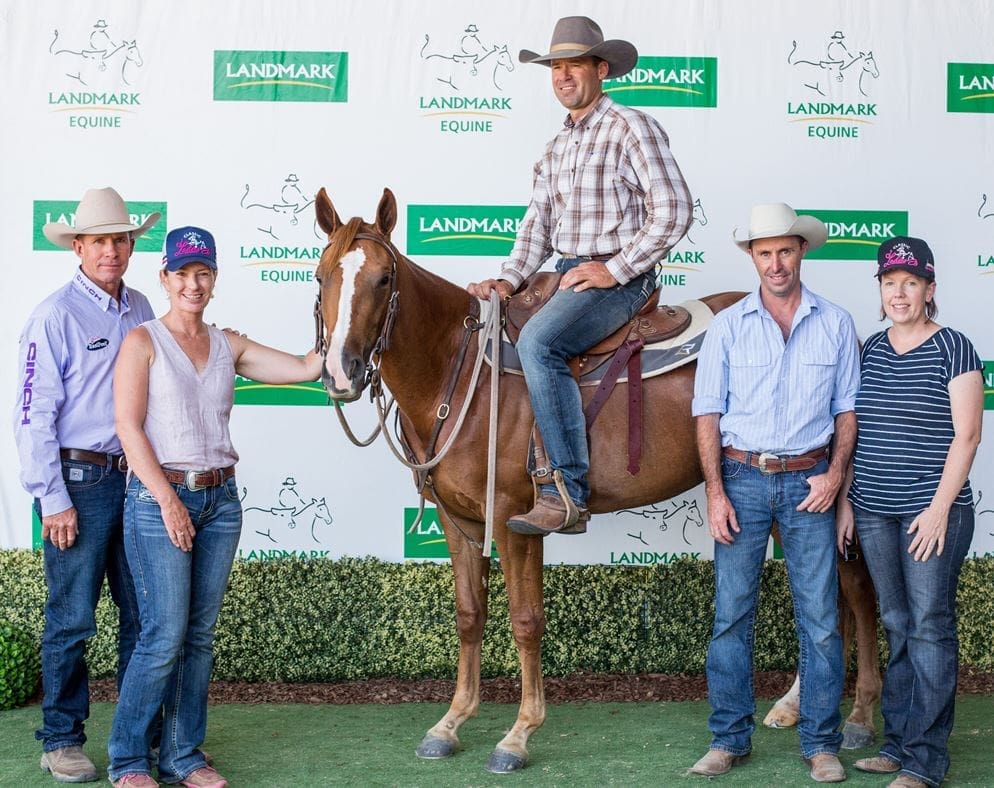 230,000 record price for Tamworth performance horse sale filly Beef