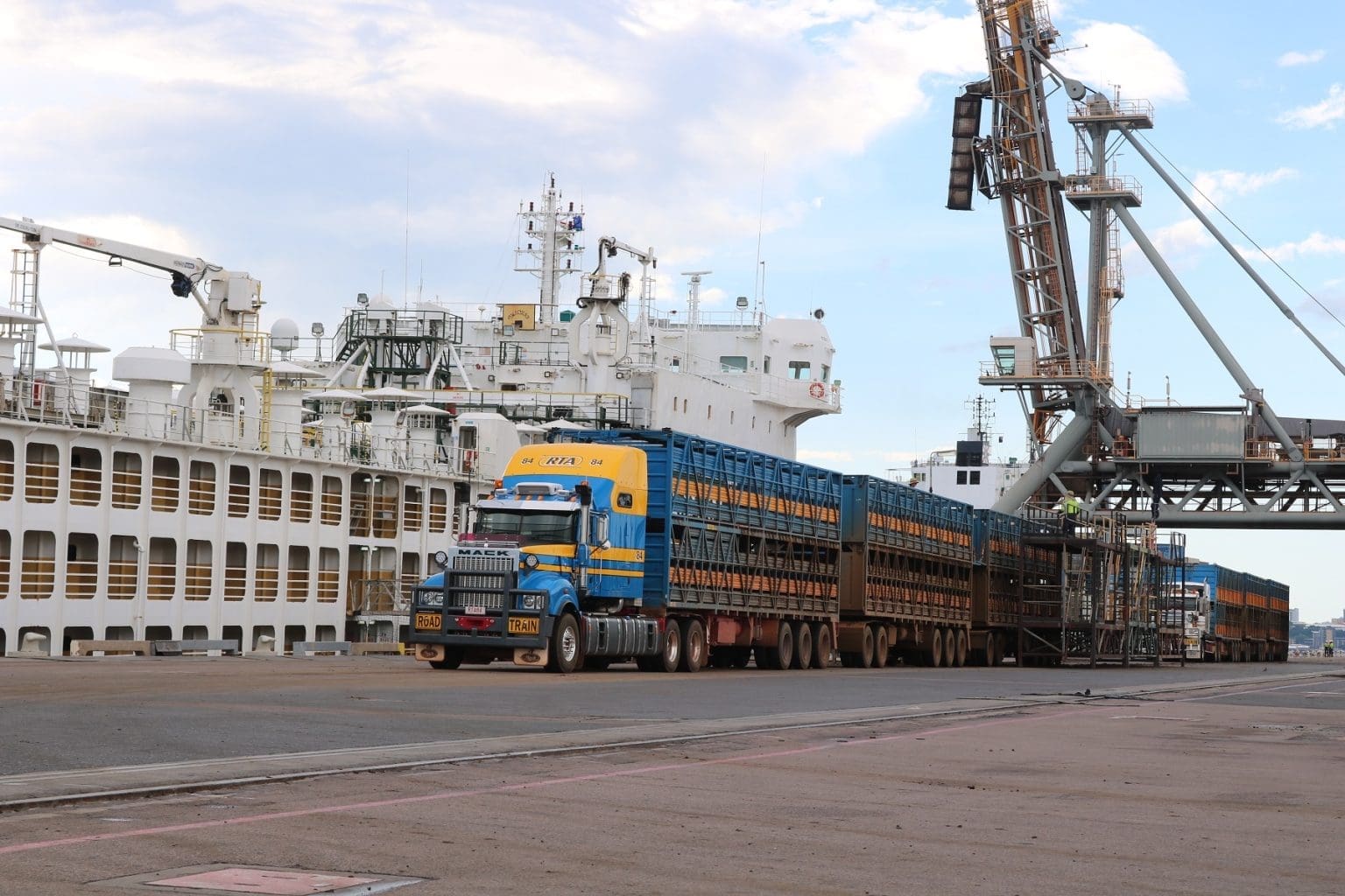 August cattle export figures reflect Indonesian feedlot challenges