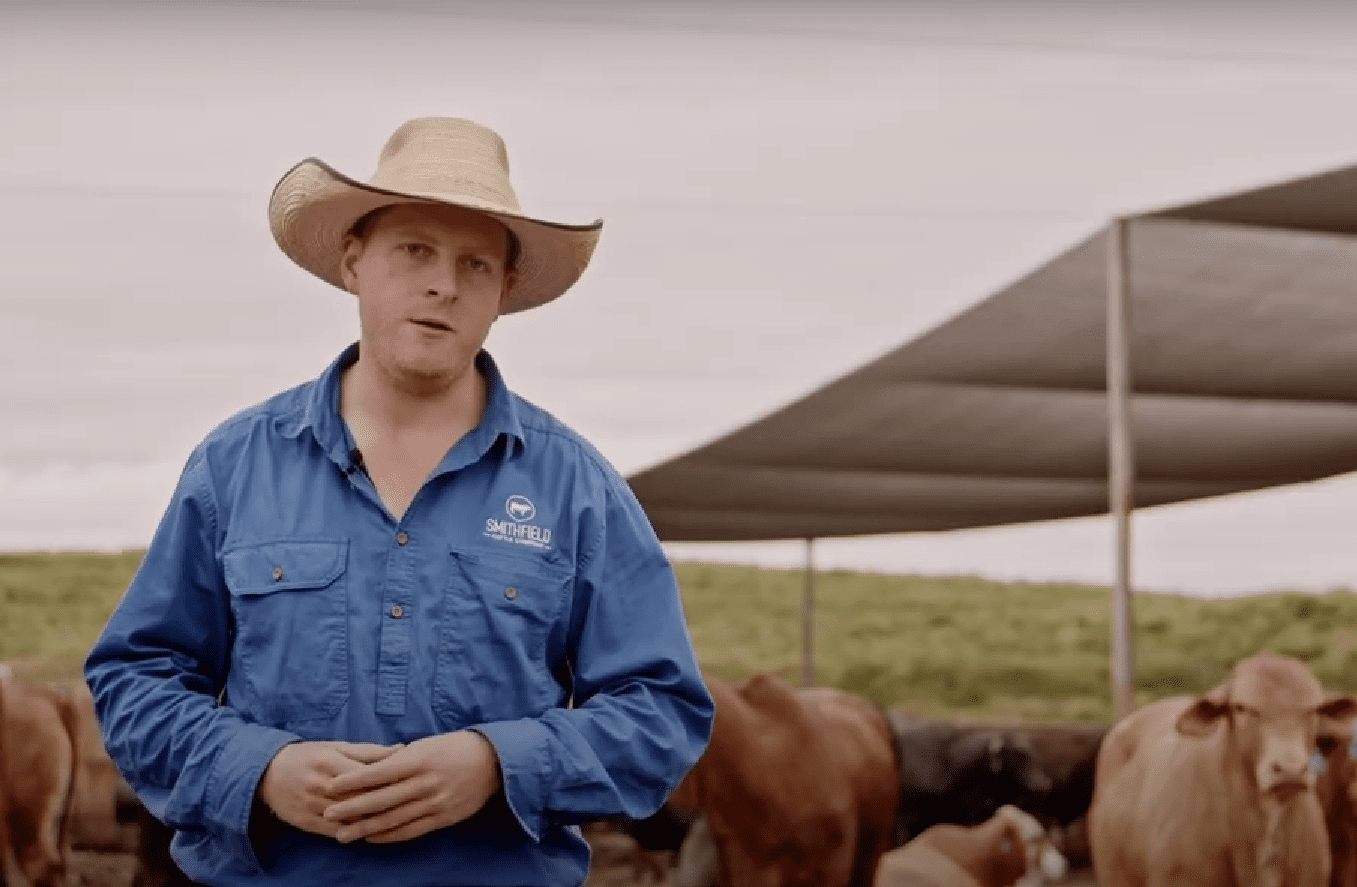 Smithfield’s Kailen Hodgson wins Young Lot Feeder award + VIDEO Australian Country Life