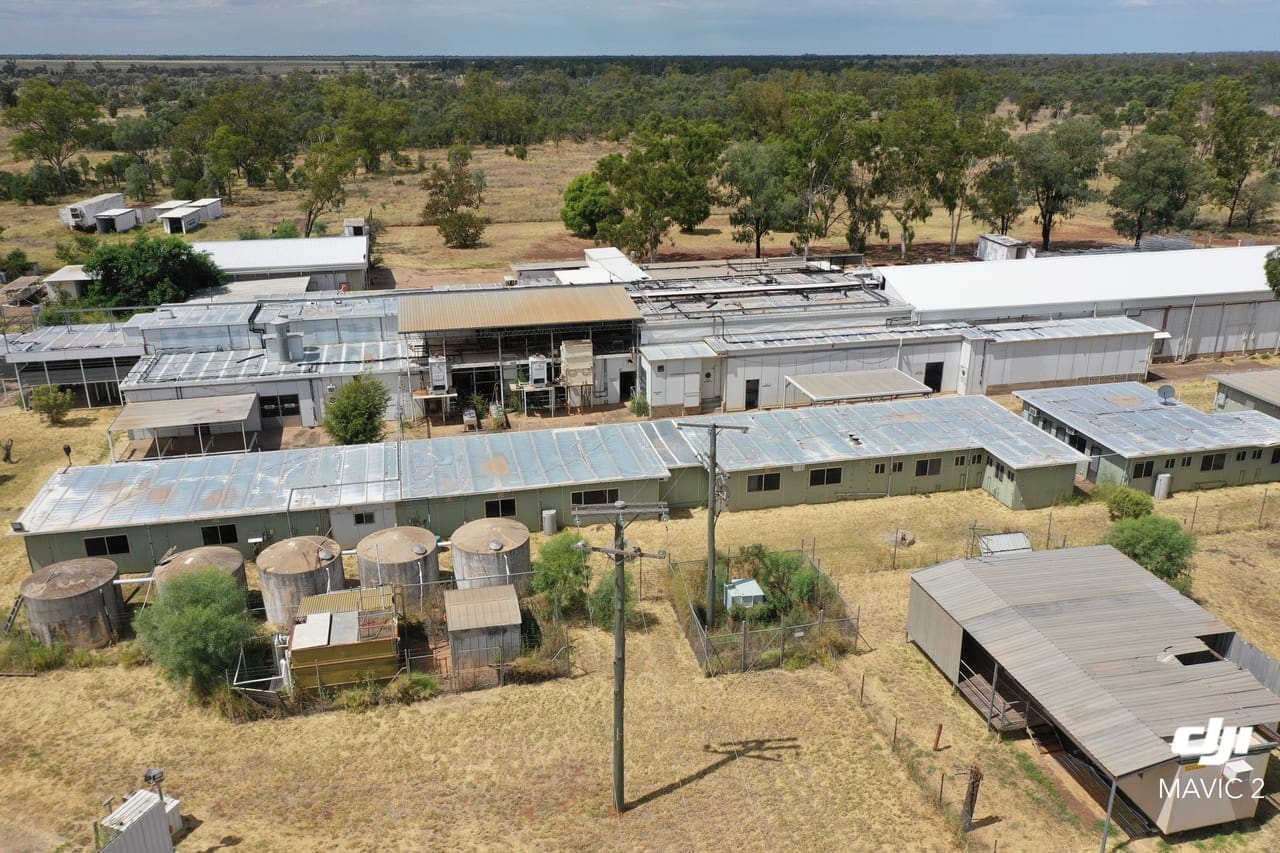 Western Australian and Queensland abattoirs go up for sale Sheep Central