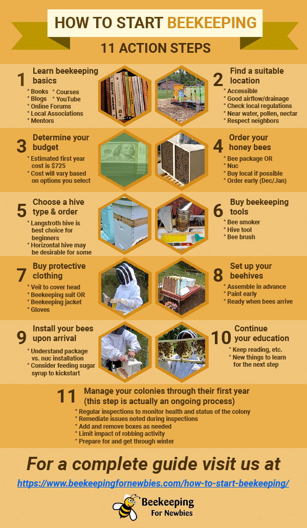 How To Start Beekeeping (A Complete Guide) Beekeeping For Newbies