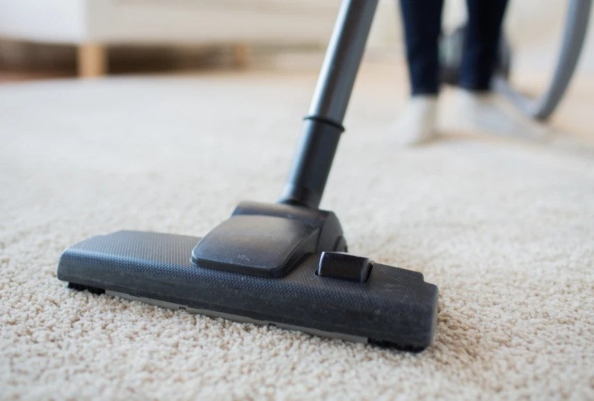 7 Tips for Better Vacuuming Your Floors Bee Line