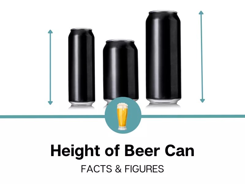 How Tall Is A Beer Can?
