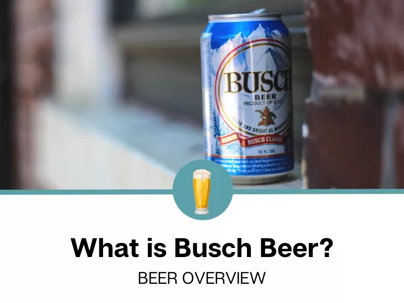 What is Busch Beer?