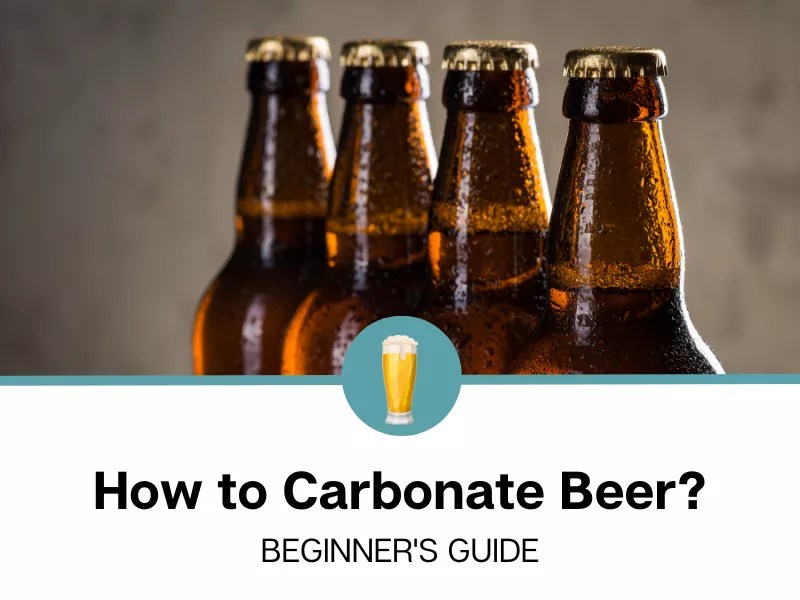 How to Carbonate Beer?