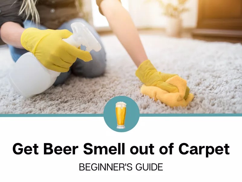 How To Get Beer Smell Out Of Carpet