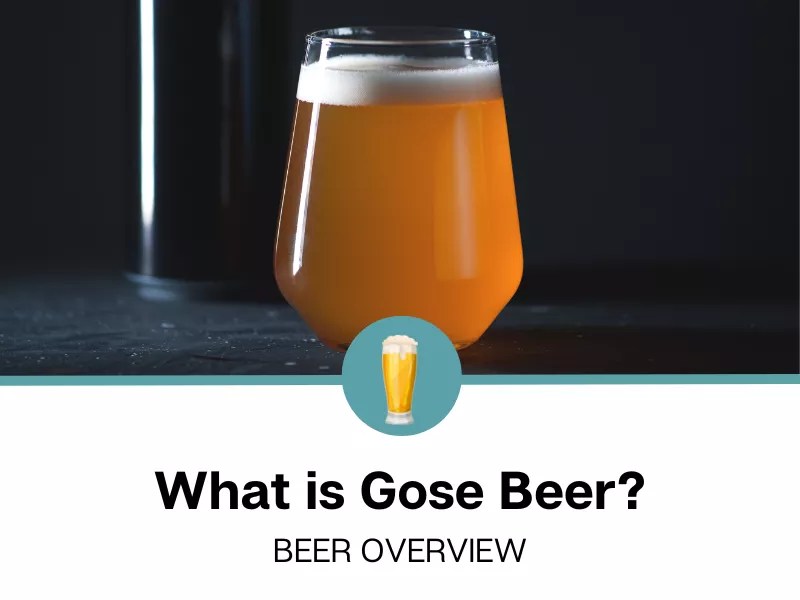 What is a Gose Beer?