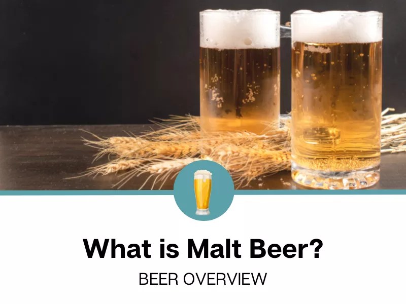 What is Malt Beer?