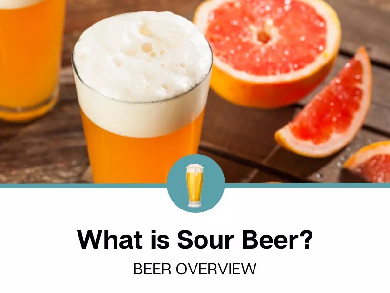 What is Sour Beer?