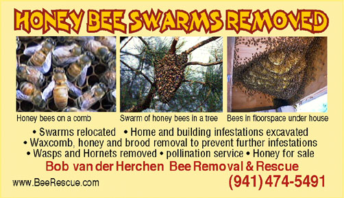 How do you get rid of honey bees?