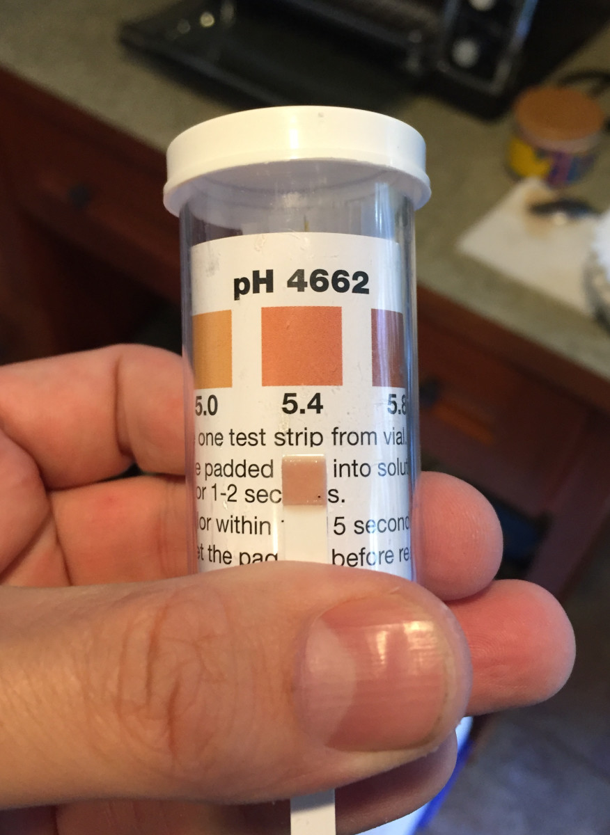 Brewing an American Brown Ale Beer Infinity