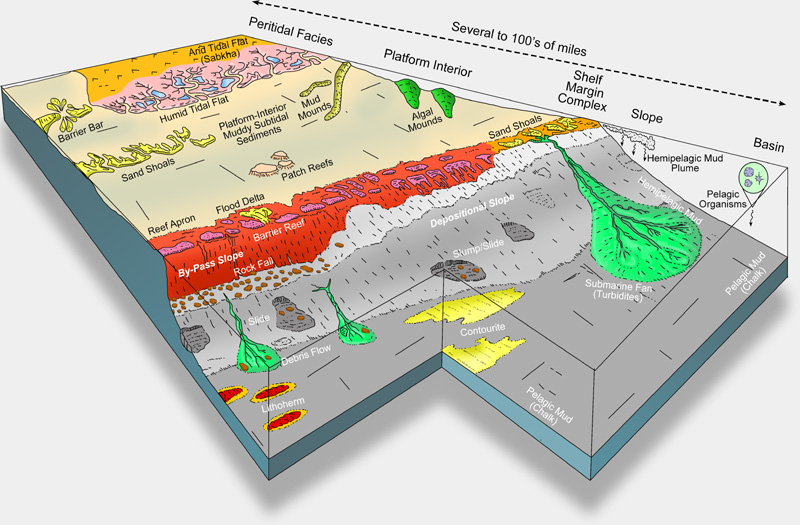 Introduction to Carbonate Facies, Depositional Environments, and