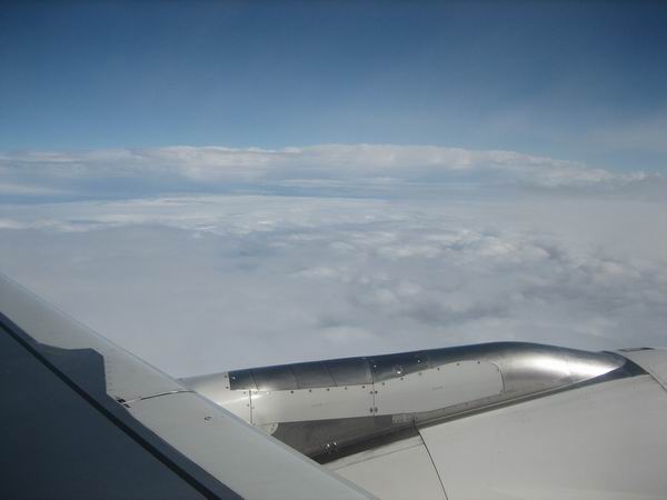 Flug