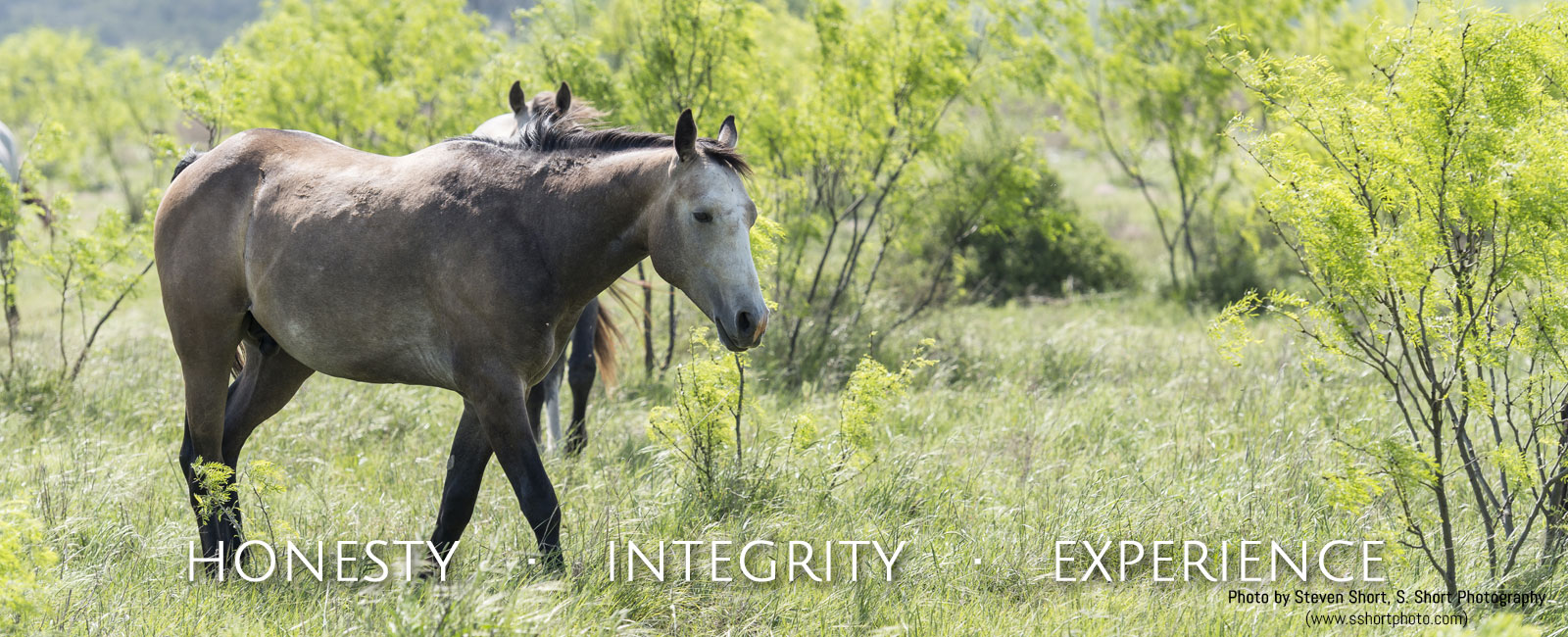 Texas Ranches For Sale Behrens Ranch Sales Behrens Ranch Sales