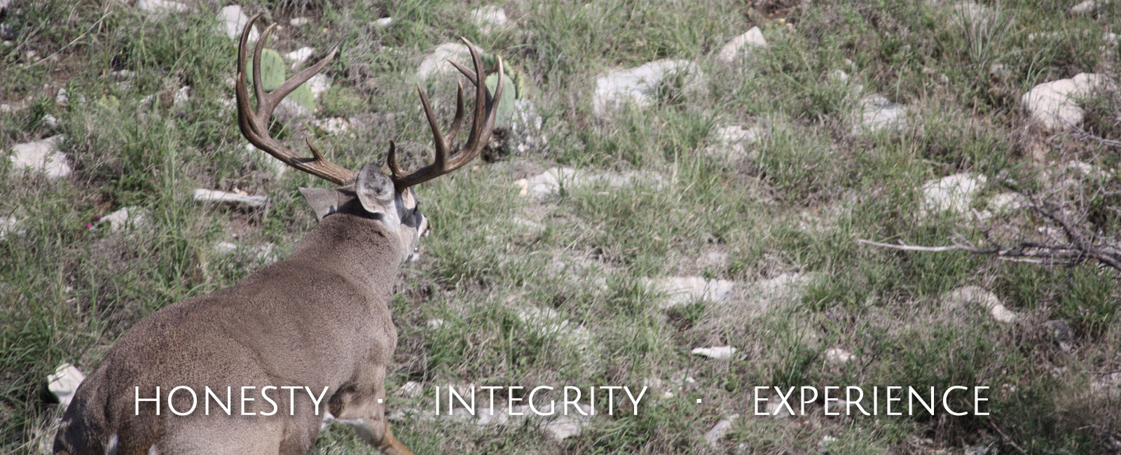 Texas Ranches For Sale Behrens Ranch Sales Behrens Ranch Sales