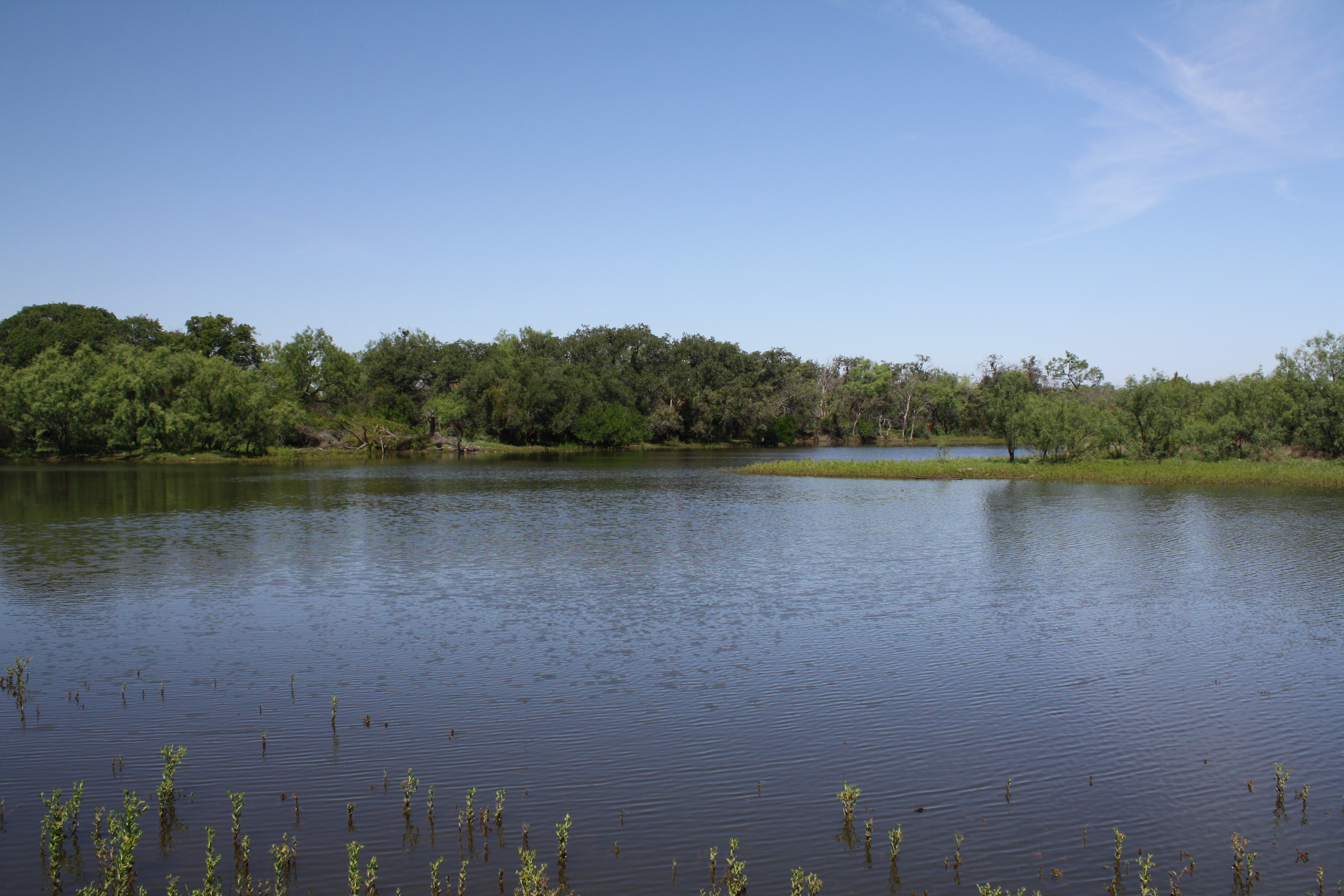 Harris River Ranch Behrens Ranch Sales