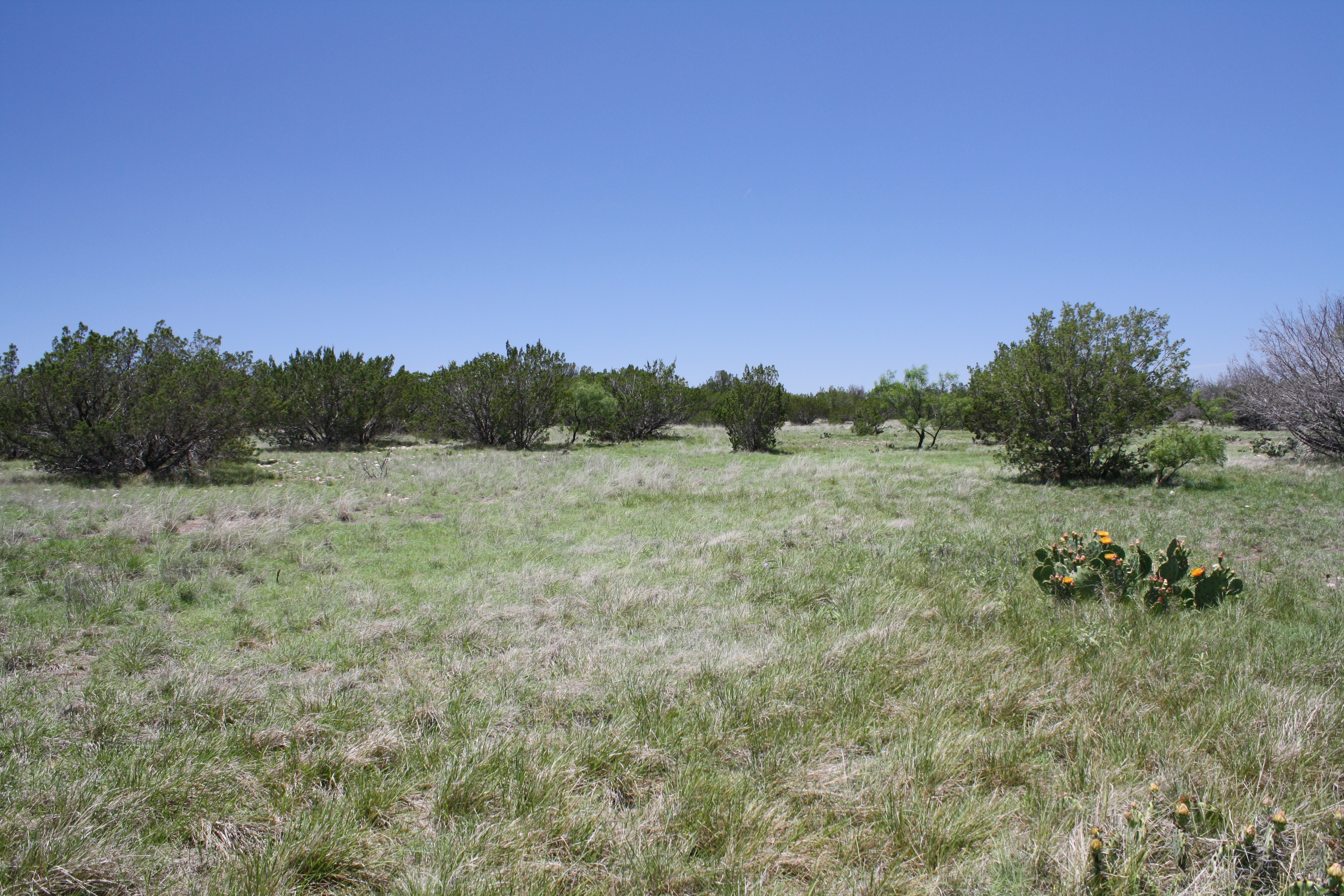 Dry Draw Ranch Behrens Ranch Sales