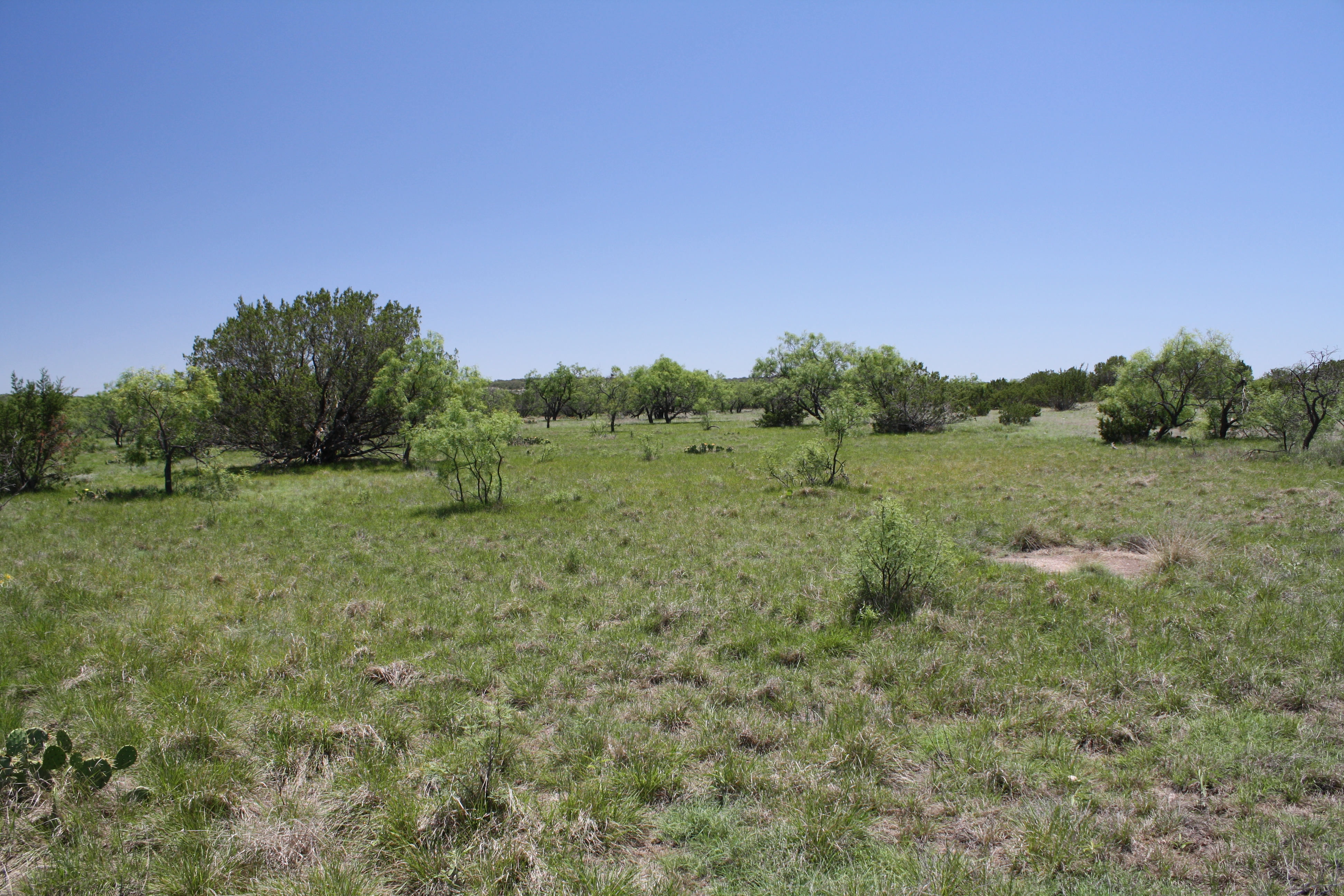 Dry Draw Ranch Behrens Ranch Sales