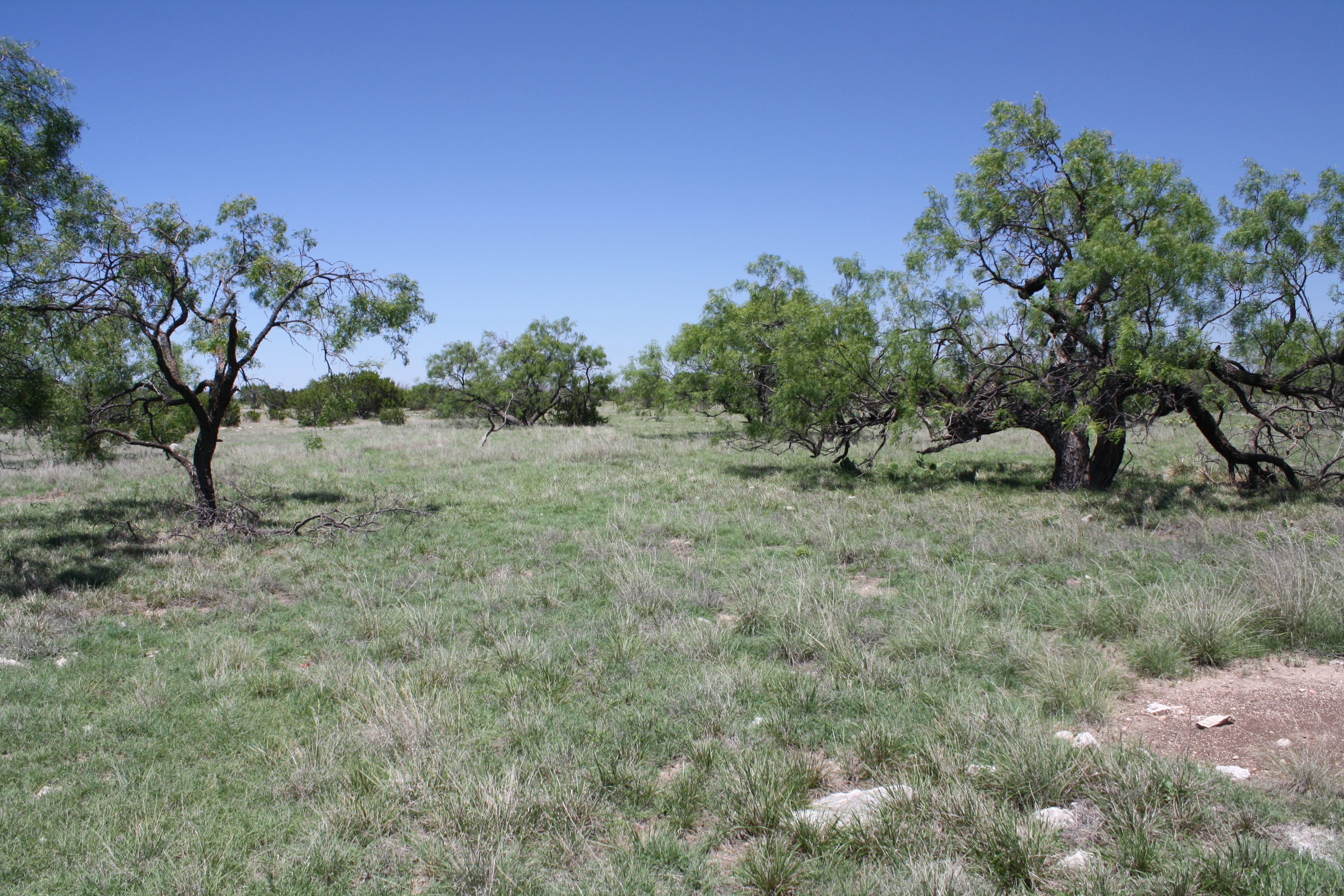 Dry Draw Ranch Behrens Ranch Sales
