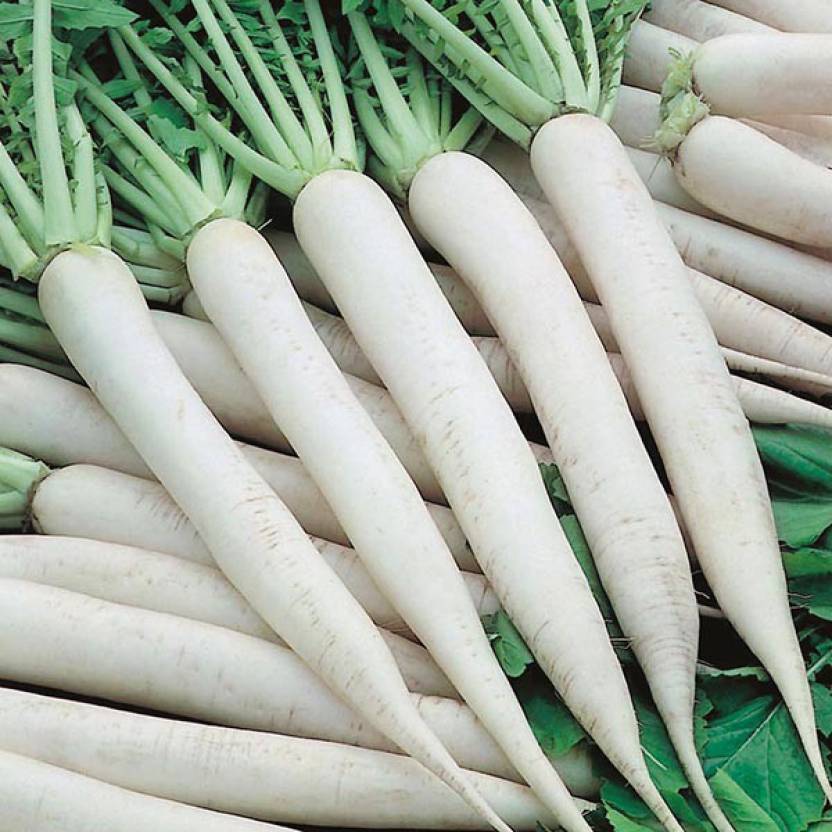 Radish Benefits In Hindi मूली के फायदे
