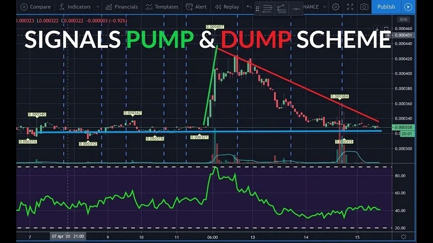 Pump and Dump in Crypto Is it Dangerous For Beginner Traders