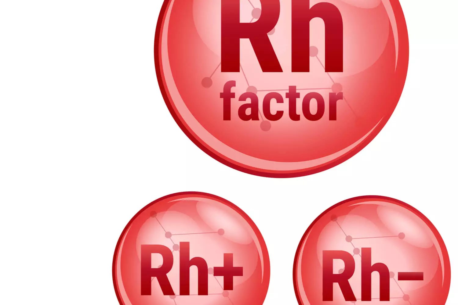 Rh in Pregnancy Causes, Symptoms, Diagnosis and