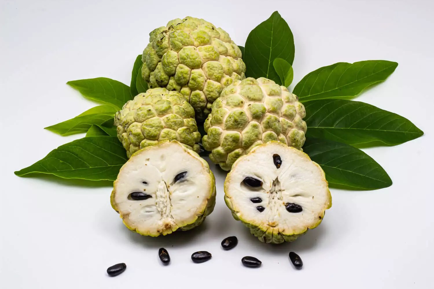 How Safe are Custard Apples During Pregnancy? Being The Parent