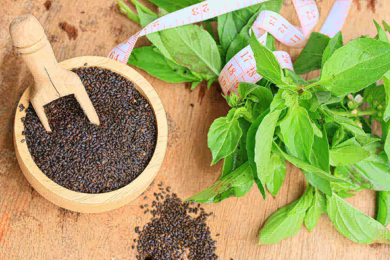 Basil Seeds During Pregnancy Safe or Risky? Being The Parent