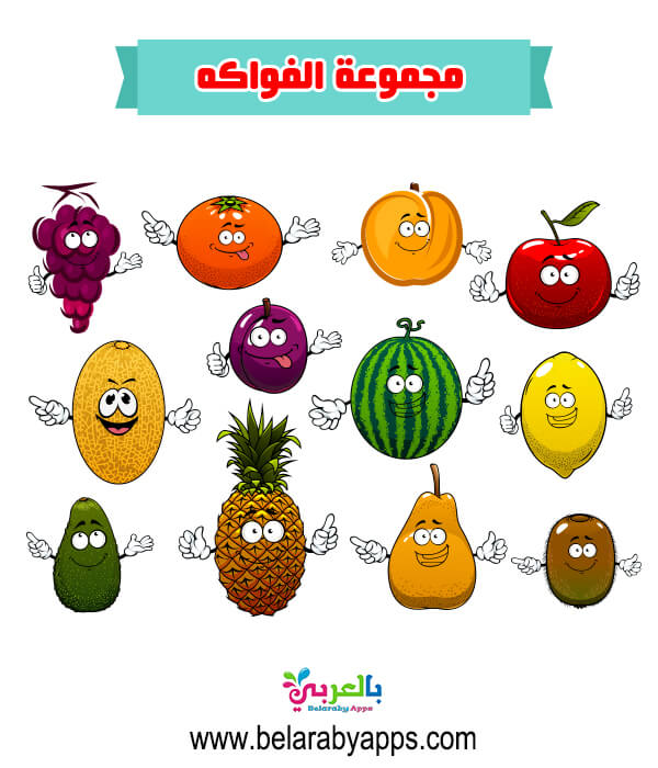 صور المجموعات الغذائية ملونة للاطفال .. وحدة الغذاء والهرم
