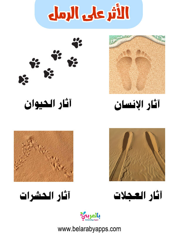 صور ورسومات وحدة الرمل كرتون لرياض الأطفال 2022 ⋆ بالعربي